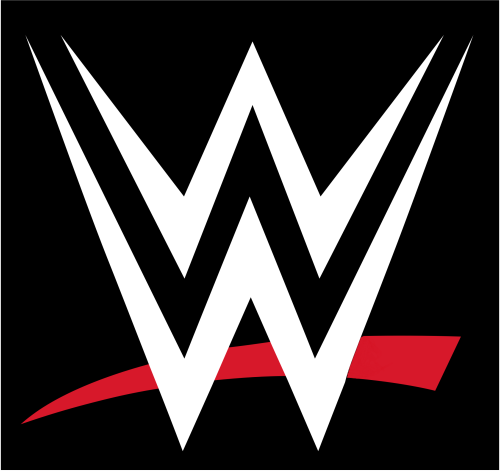 WWE Figures in Box