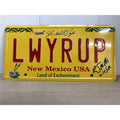 RJ Mitte & Steven Michael Quezada Signed License Plate Breaking Bad Auto PSA CoA