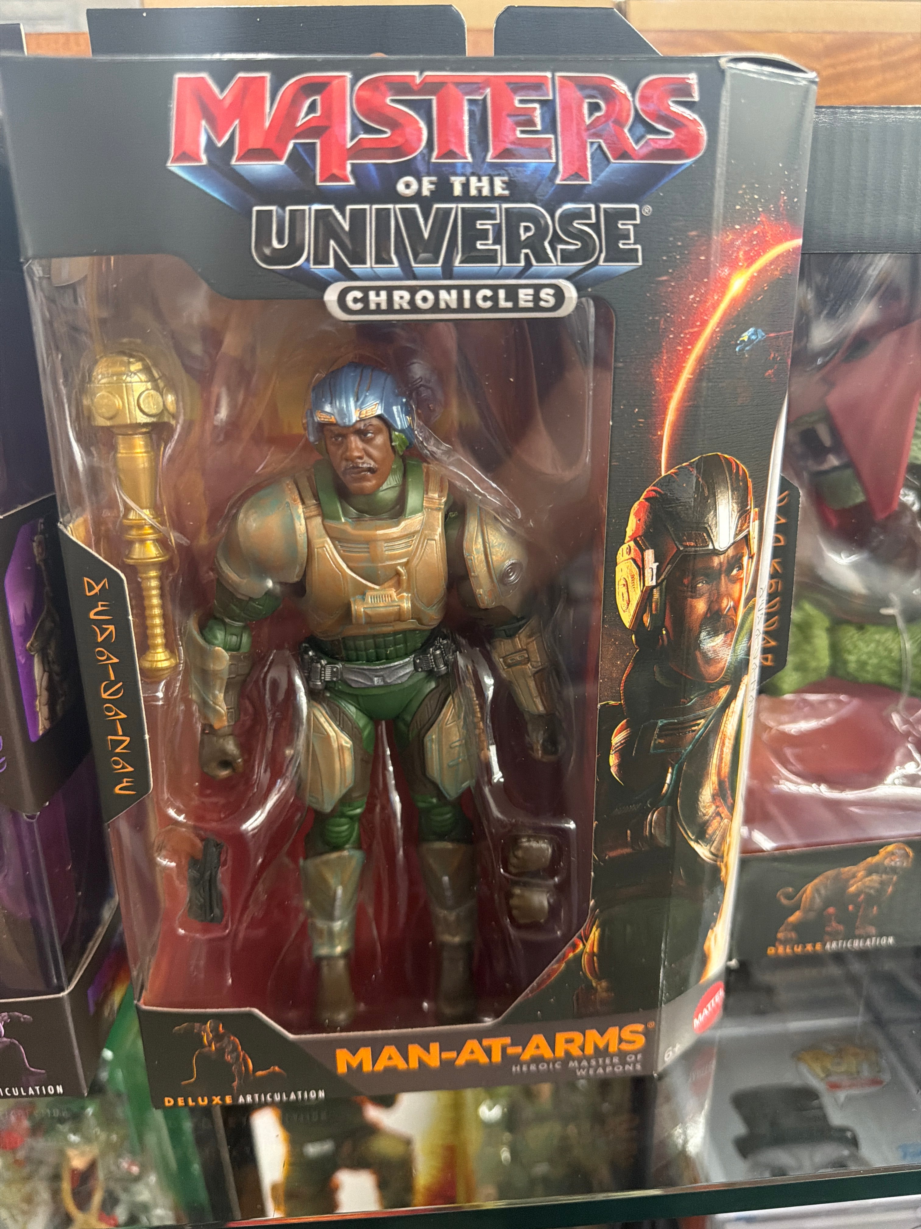 Masters of the Universe Chronicles