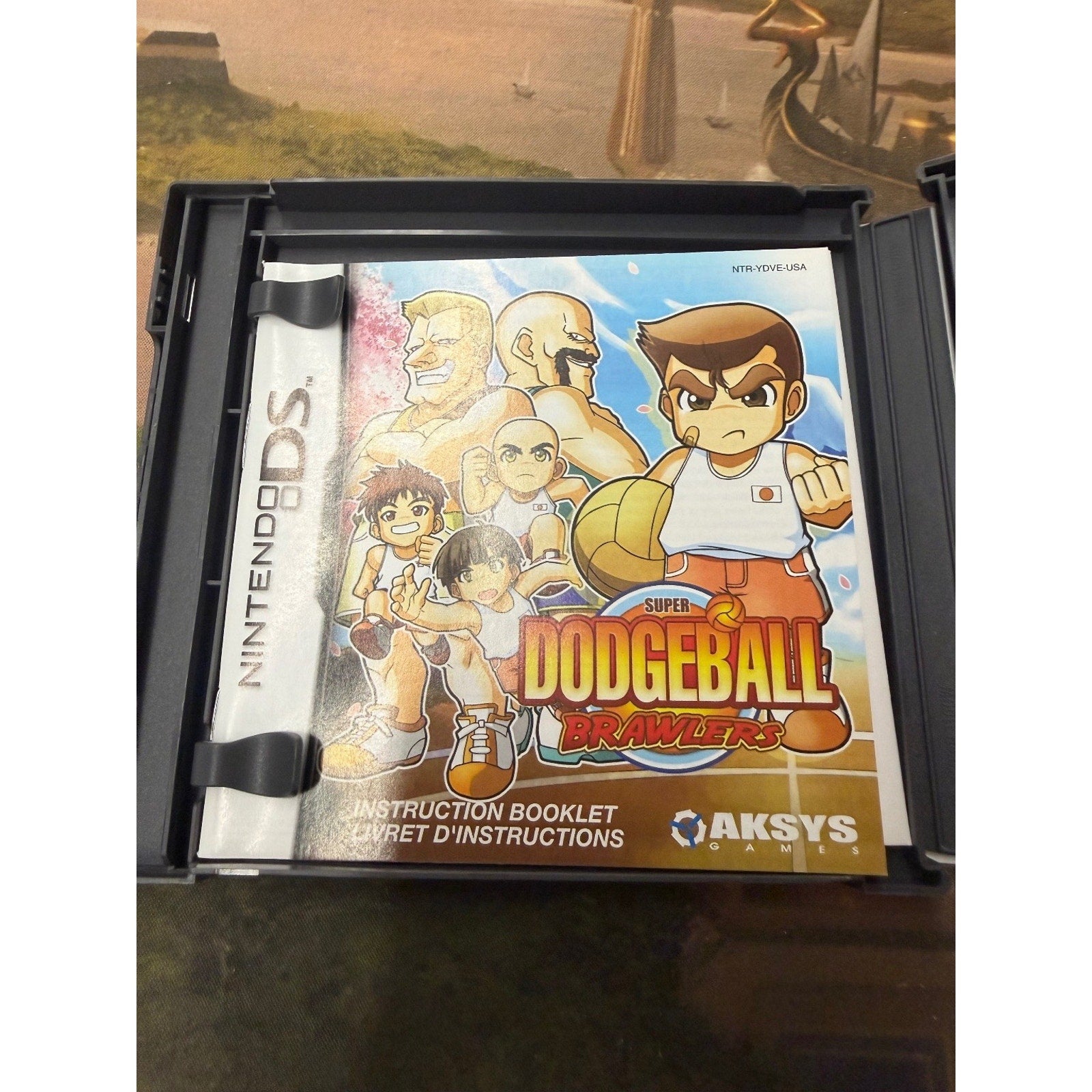 Super Dodgeball Brawlers Nintendo DS Video Game Aksys Sports