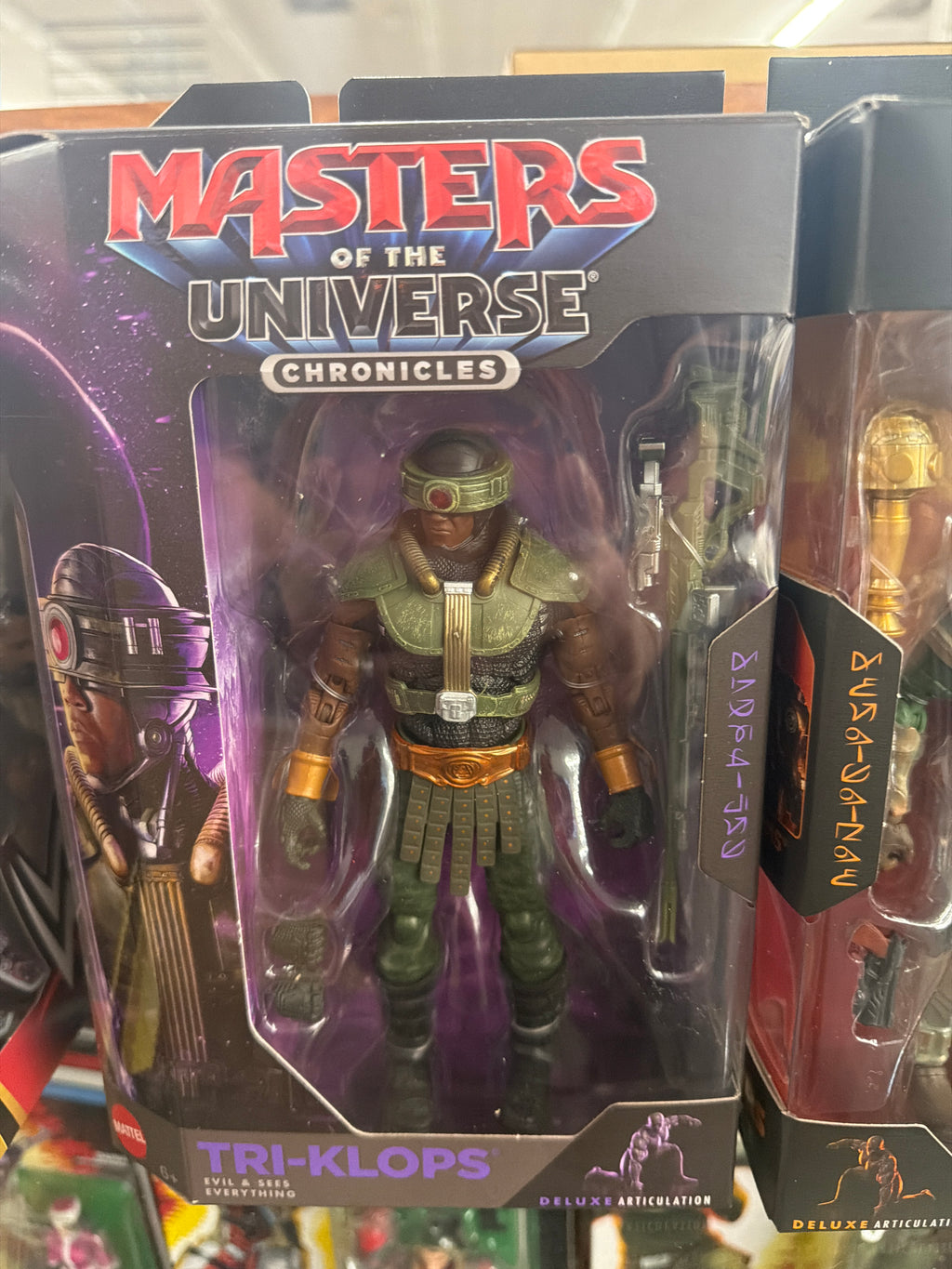 Masters of the Universe Chronicles