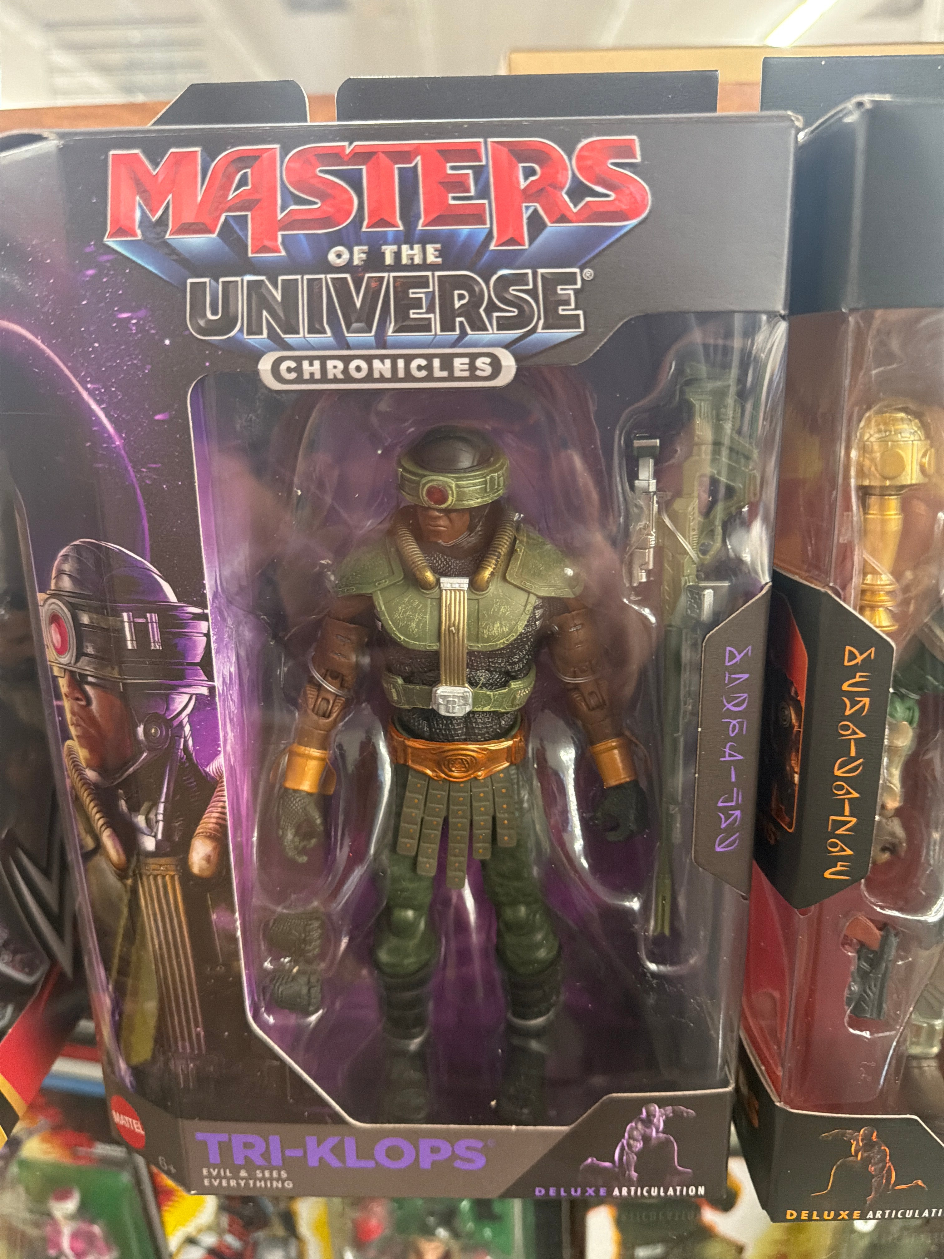 Masters of the Universe Chronicles