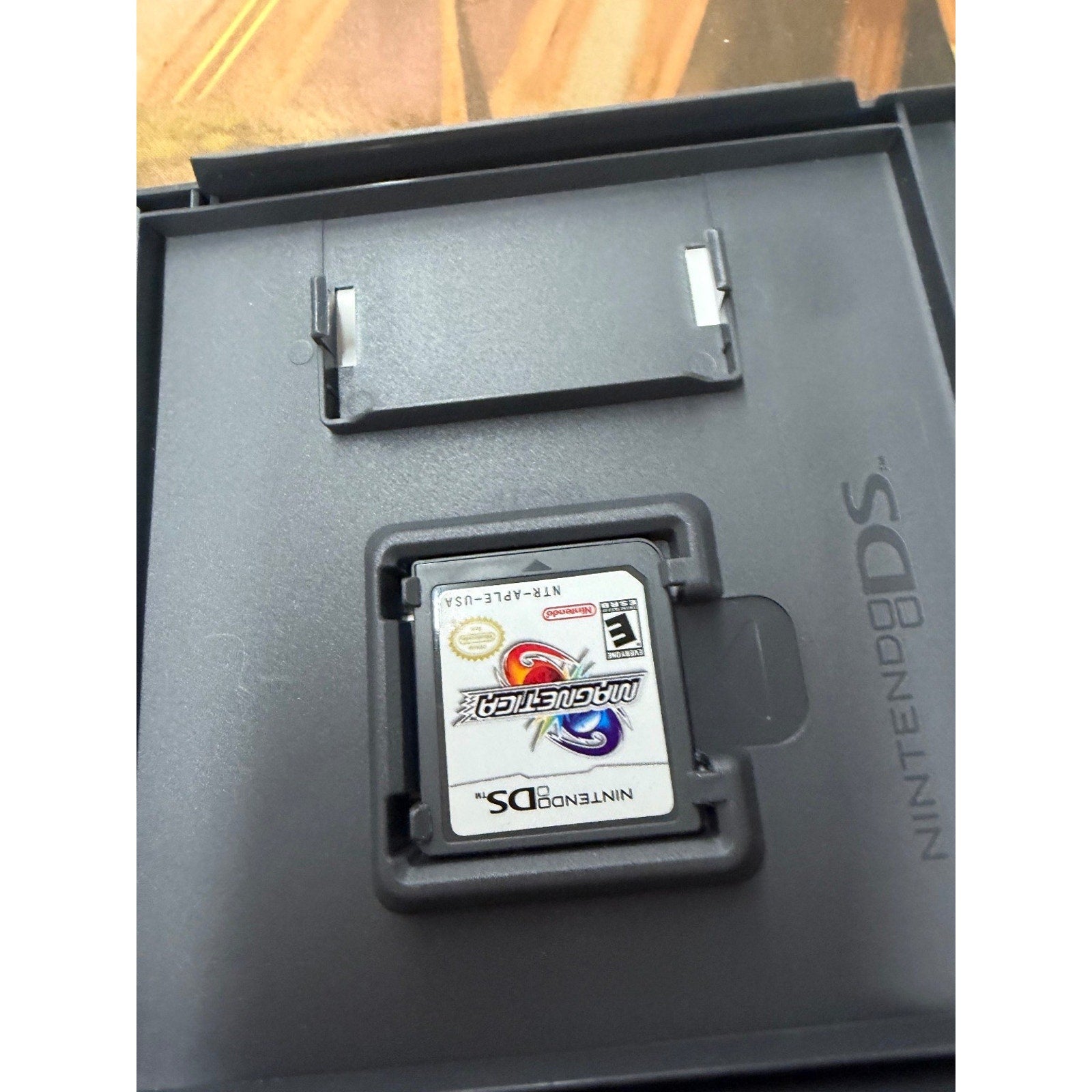 Magnetica Nintendo DS Video Game