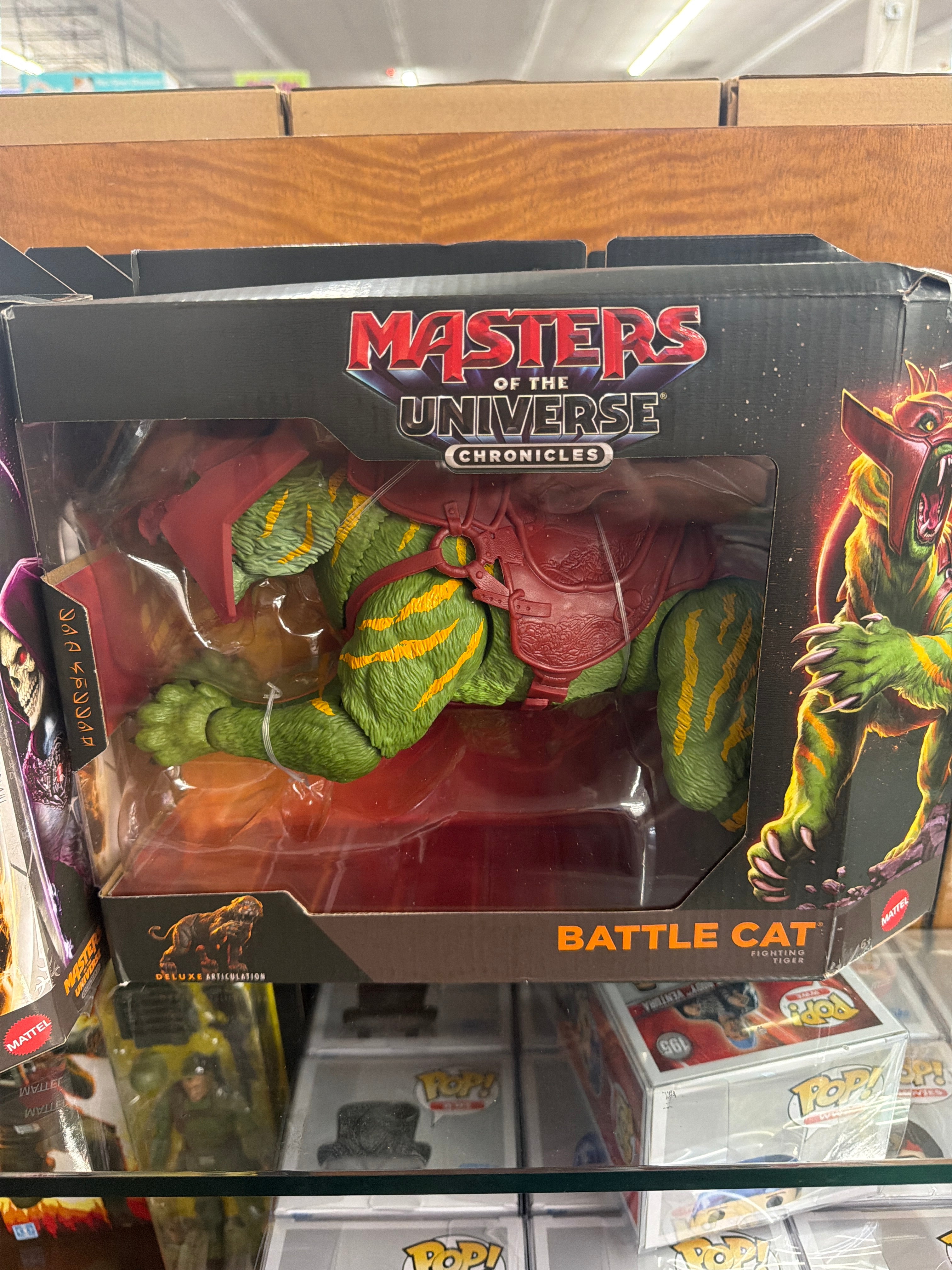 Masters of the Universe Chronicles