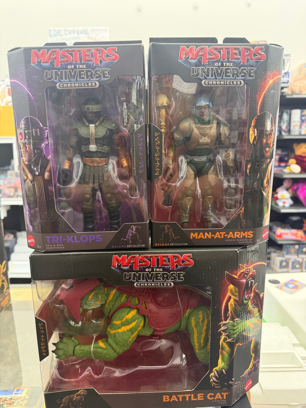 Masters of the Universe Chronicles