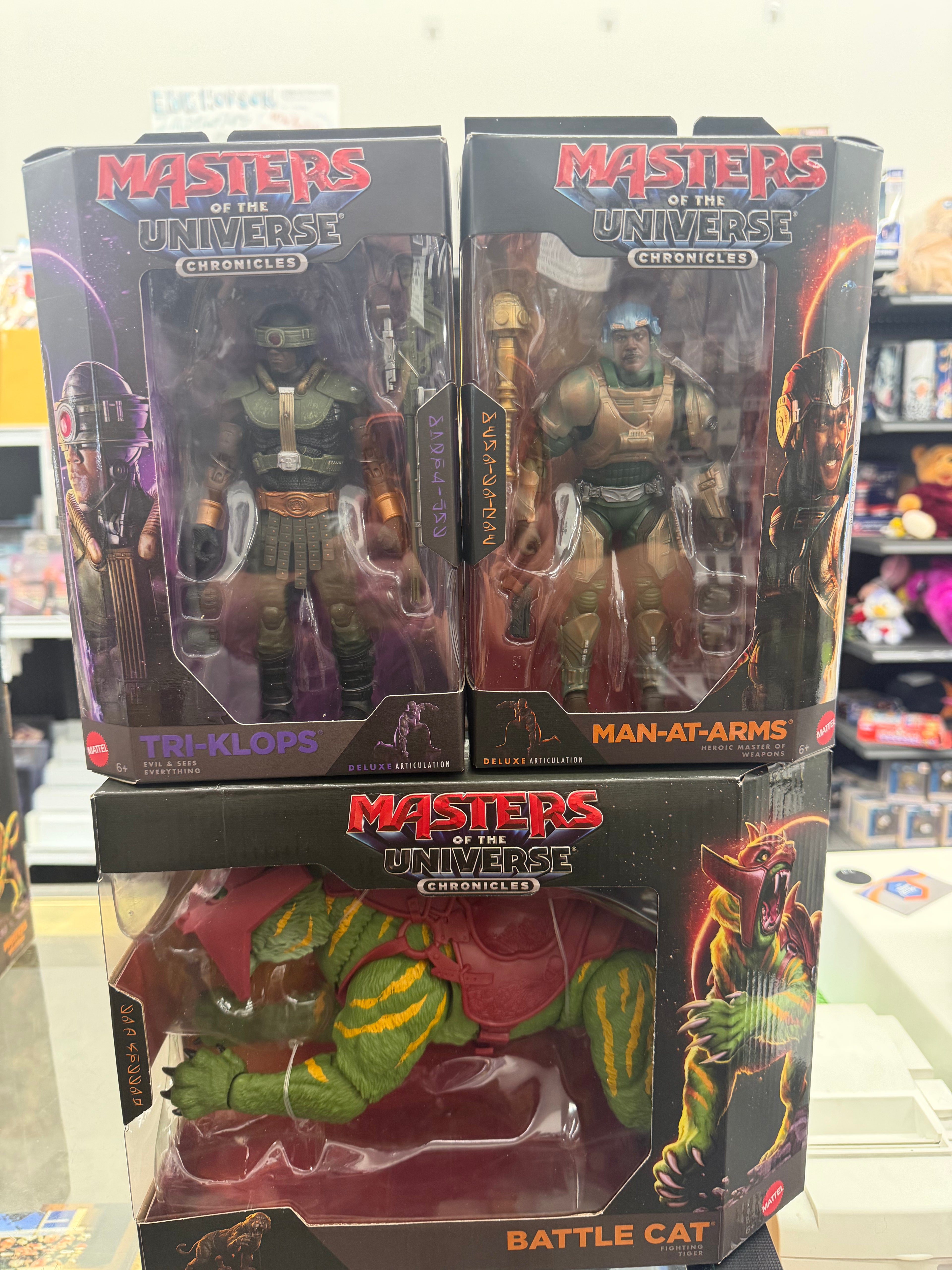 Masters of the Universe Chronicles