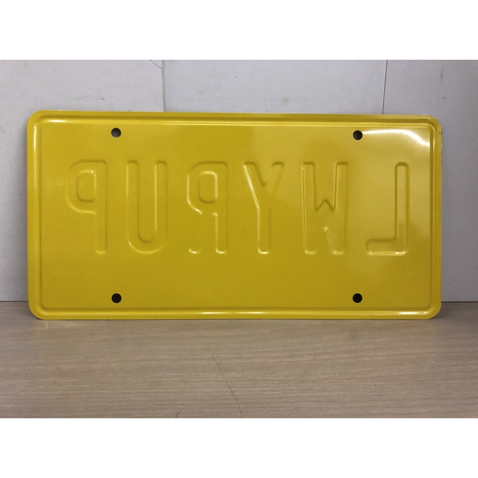 RJ Mitte & Steven Michael Quezada Signed License Plate Breaking Bad Auto PSA CoA