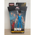 Hasbro Marvel Legebds Marvel's Legion Colossus BAF
